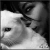 Love cat