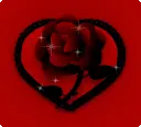 red rose