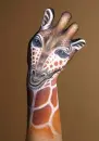 Giraffa