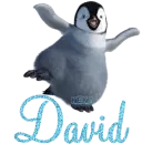 David