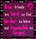 True Friend Poem