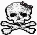 aryn - skull