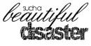 Beautiful Disaster