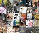 Vinatge Collage