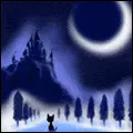cat in the dark