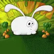 fat bunny