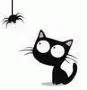 cat and spider