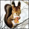 little animal