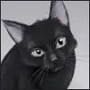 black cat