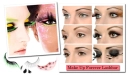 lashes
