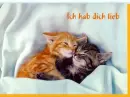 Ã®ch hab dich lieb