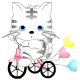 kitty on bike