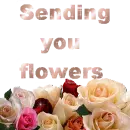 sending flowers