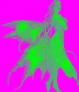 fairy