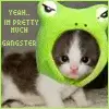 Dont F&*^&* with the FROGSTER!!!