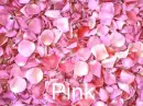 Pink rose petals