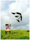 boy jump