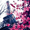 eiffel tower