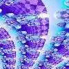 Purple Blue Random