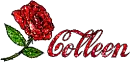 Colleen - Rose