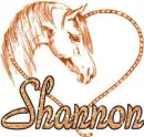 Shannon