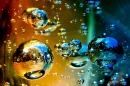 bubbles