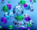 bubbles