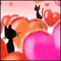 cats love