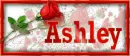 Ashley Rose Tag