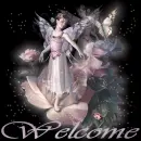 Welcome Greeting 