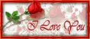 I Love You Tag 