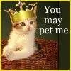 you may pet 