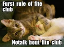 kitty fight club