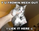why u throwing me out?