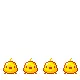 chicks