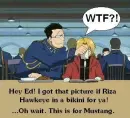 fma wtf