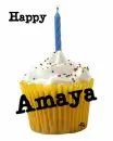 Happy Birthday Amaya