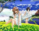 In The Meadow