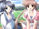Picnic Friends