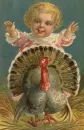 Baby, Turkey, Thanksgiving