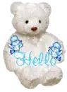 Hello