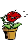 bad flower