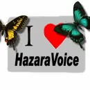 www.Hazaravoice.com