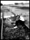 alone
