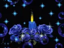 Blue Roses and romantik