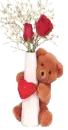 Teddy