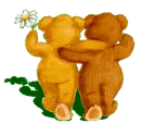 teddy