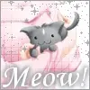 meow