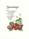 The Strawberry