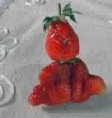 Berry Boy